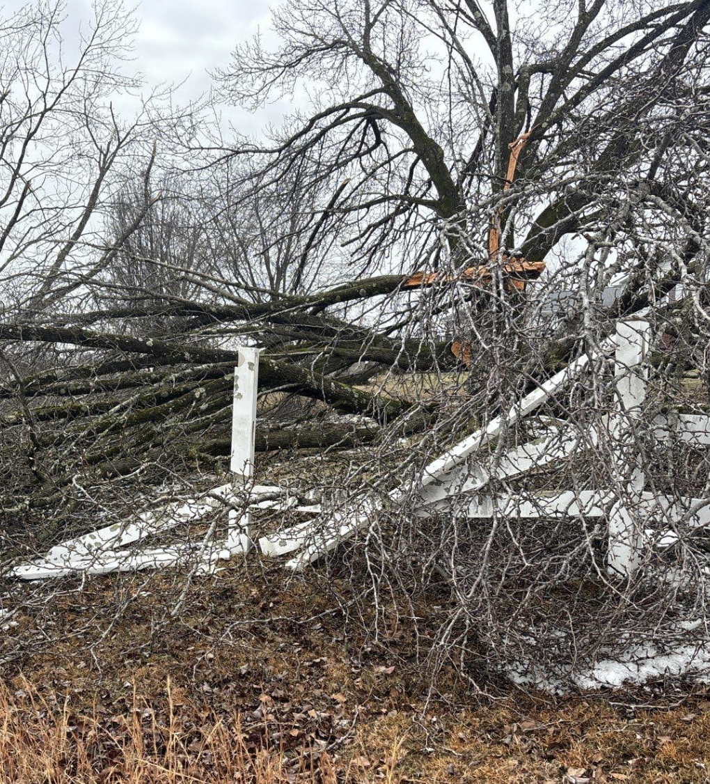 Screenshot 2026-02-05 at 6.06.07 PM