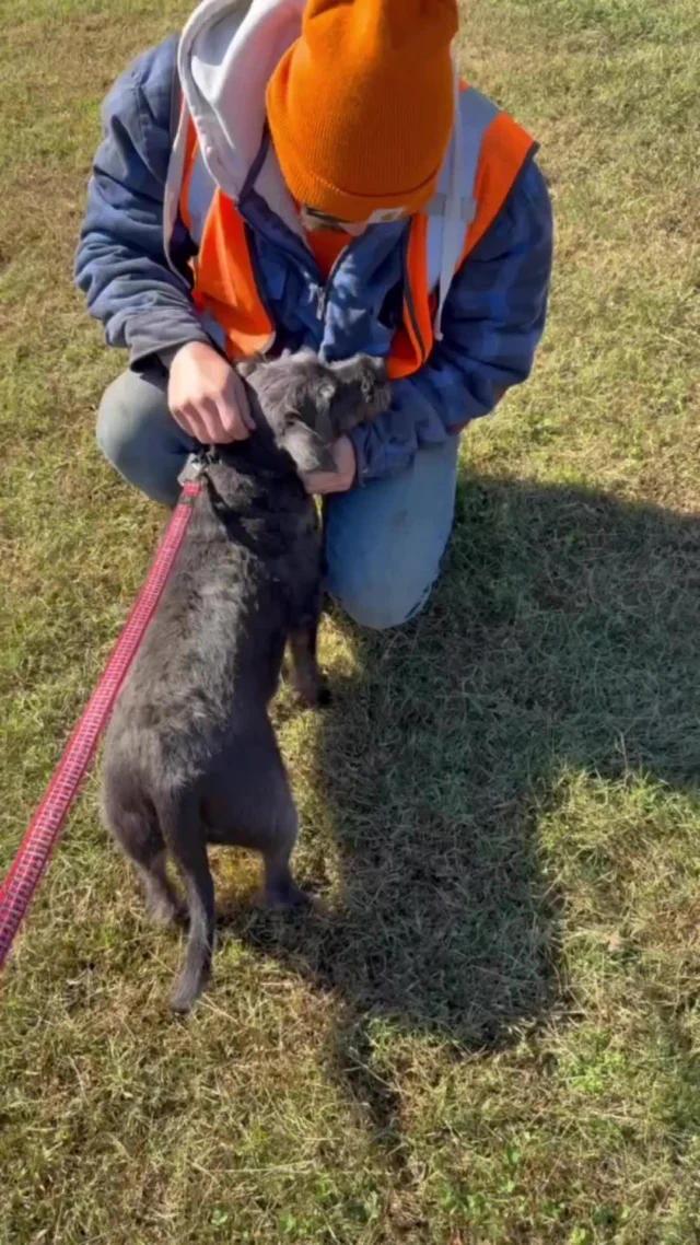 Sometimes you get really lucky and your job site has a dog like Toby.

#millikencorp #millikencorporation #jobsitedog #spreadalittlehappiness #doglife #mansbestfriend