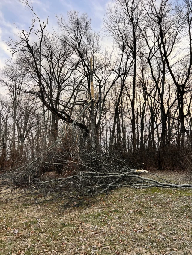 Storms can leave behind more than just a mess.
Downed trees and limbs can block driveways, damage property, and create hazards.

If you’ve got limbs down after the storm we are here to help.

#themillikencorporation #downedtreelimbs #tn