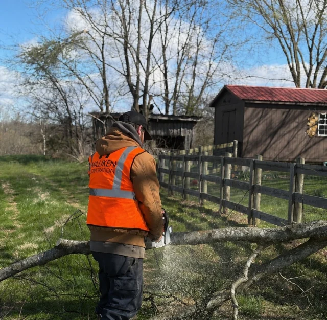 Spring storms can leave trees down and messes behind.

We’ll handle the cleanup quick and safe. Got a tree down? Give us a call 🌳
(615) 238-5909

#themillikencorporation #downedtrees #tn
